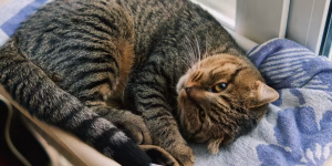 Blog 2